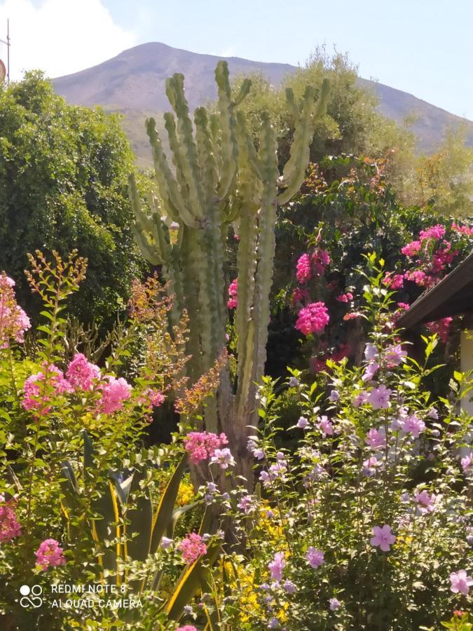 La Rosamarina Otel Stromboli Dış mekan fotoğraf