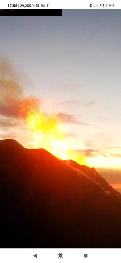 La Rosamarina Otel Stromboli Dış mekan fotoğraf