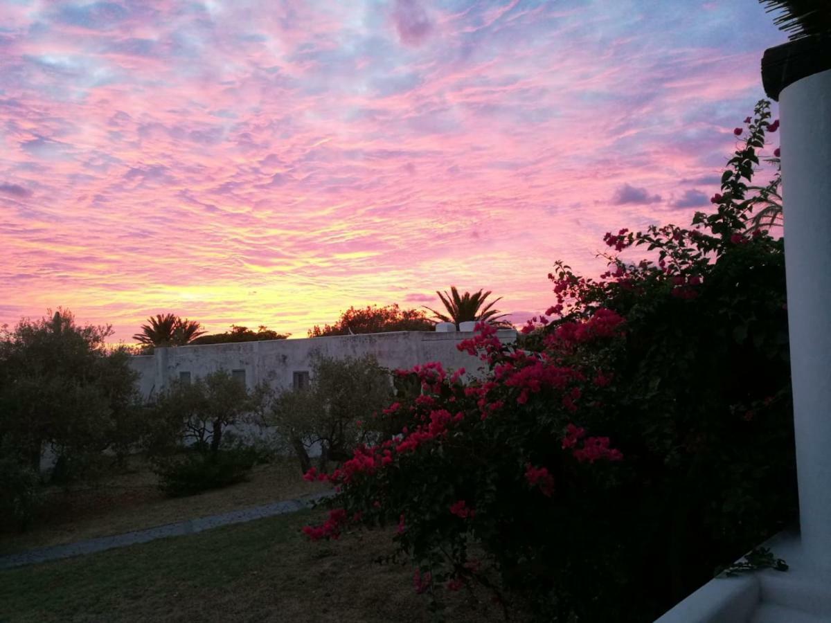 La Rosamarina Otel Stromboli Dış mekan fotoğraf