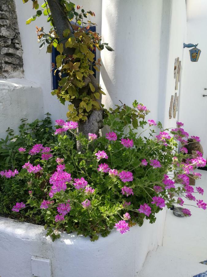 La Rosamarina Otel Stromboli Dış mekan fotoğraf