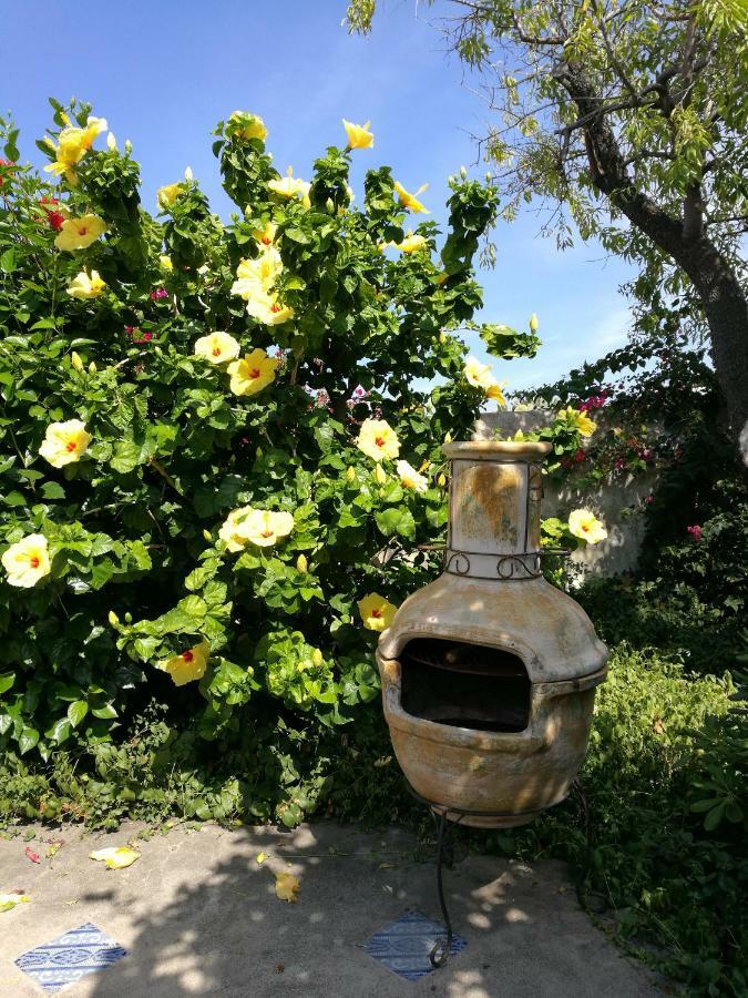 La Rosamarina Otel Stromboli Dış mekan fotoğraf